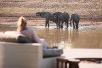5 Safaris de lujo en África para disfrutar de la vida salvaje 15