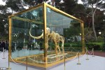 Gone But Not Forgotten | El esqueleto de mamut bañado en oro de Damien Hirst 25