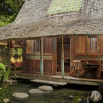 Duerme junto a los peces en Udang House | Un cuarto de hotel en Bali con piso de vidrio 10
