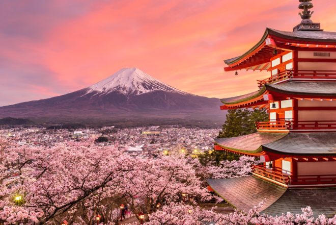 Hay que viajar a Japón para ver el cherry blossom 101