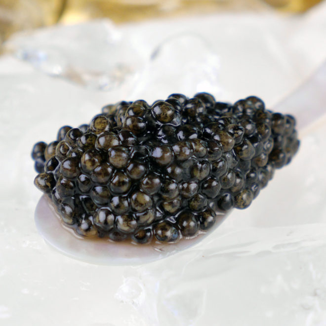 15 datos sobre el Caviar que tienes que saber 27